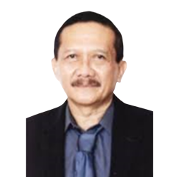 Dadang Hendrawan - Advisory Board